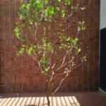 Thalawathugoda Mr.Kushan’s House